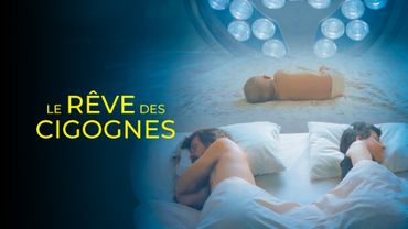 Le rêve des cigognes