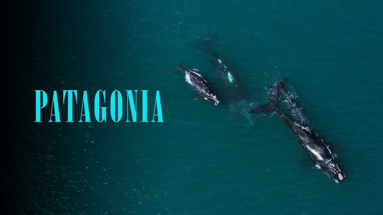 Patagonia Patagonia