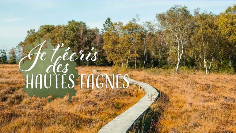 Replay Je t'�cris des hautes fagnes