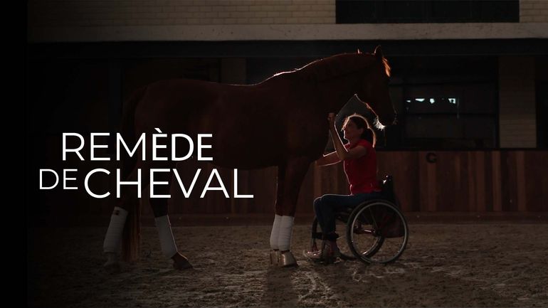 Rem�de de cheval